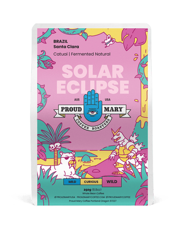 BRAZIL | Santa Clara | Catuai | Fermented Natural