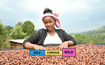 ETHIOPIA | Abedo Abamecha | Heirloom | Natural