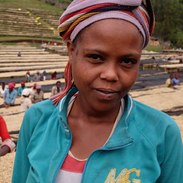 Ethiopian | Special Prep Qonqona 'Benso' Grade 1 | Natural